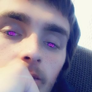 Meet your Posher, Donald